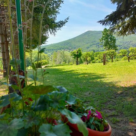 Vila Jezerski Raj Borsko Jezero Zewnętrze zdjęcie